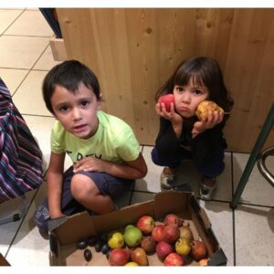 ecole-montessori-epinal-3-6-ans-sortie-biocoop-fruits